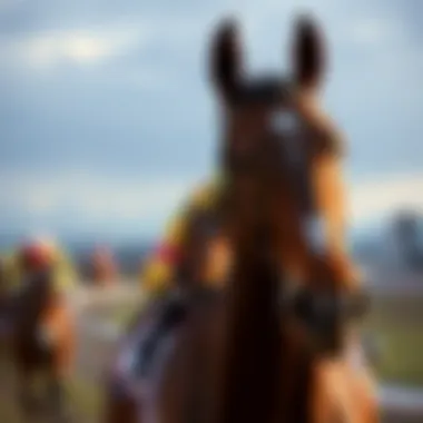 Patterns in horse racing techniques